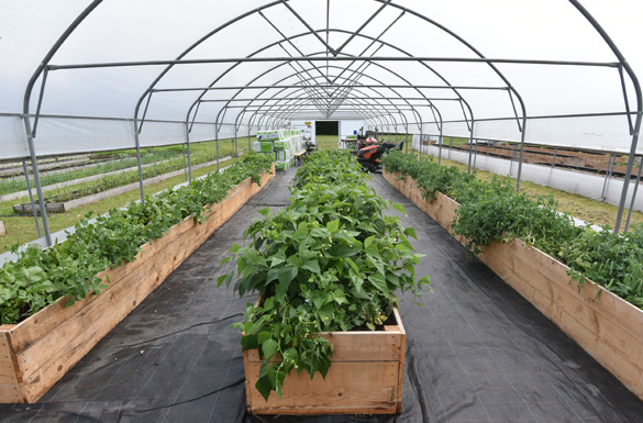 Udruga osoba s invaliditetom Sisačko-moslavačke županije